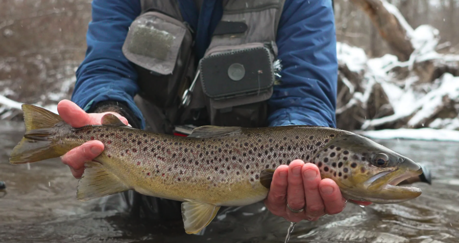 Fishing Marginal Water